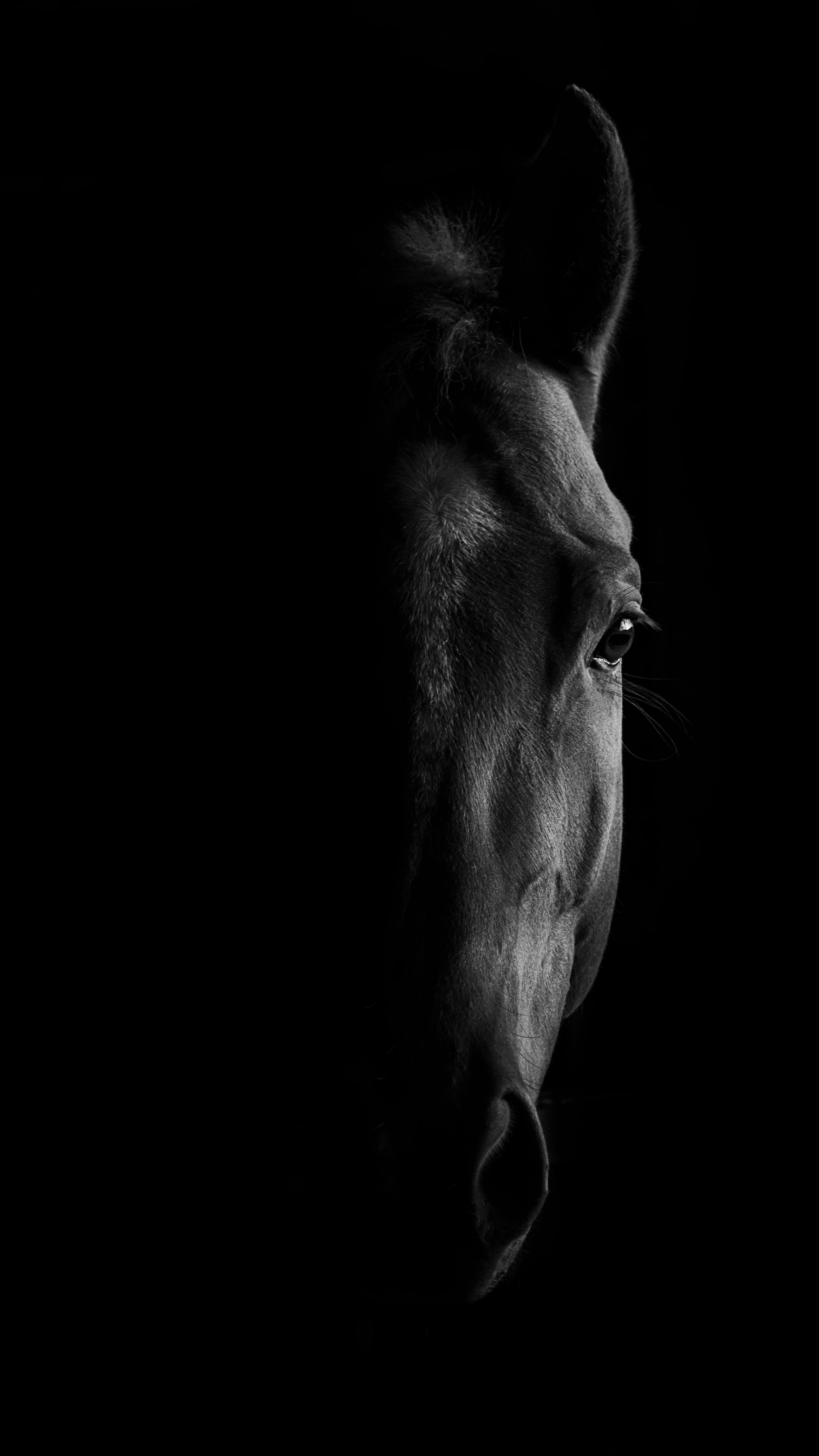 NKD Official hero image