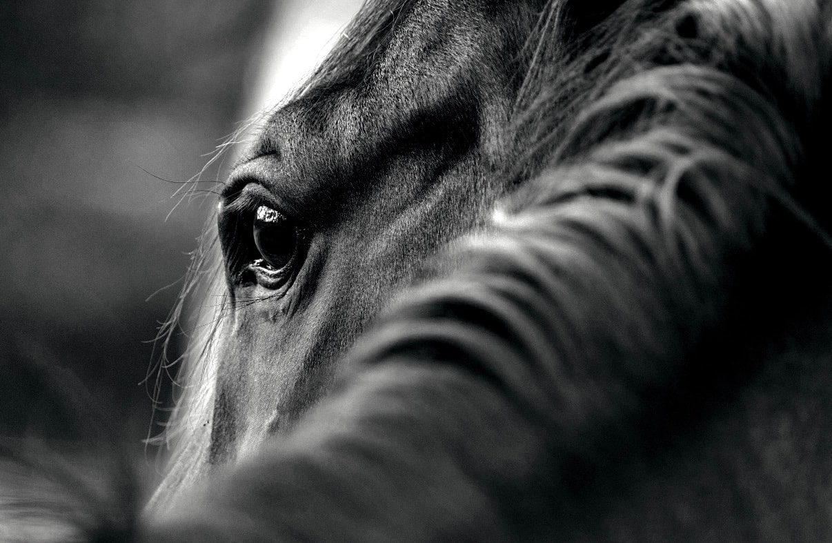 NKD Herbs hero image